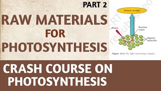 PhotosynthesisClass 11NCERTPart 2Raw Material for PhotosynthesisCrash CourseNEETAIIMSBiology [upl. by Hufnagel]