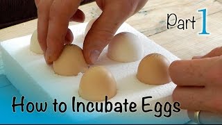 How to Incubate and Hatch Eggs  Part 1 of 3  Setting up the Incubator [upl. by Slemmer]