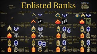 US Military All Branches ENLISTED Ranks Explained [upl. by Pytlik373]