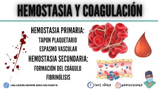 HEMOSTASIA PRIMARIA plaquetas vonWillebrand endotelio fibrinogeno Activacion Amplificacion [upl. by Airom284]