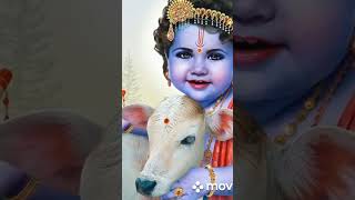 little krishna short video status [upl. by Xonel945]