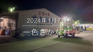 【魚類最強朝市】2024年初市場‼︎リアルな現状『一色さかな村』大公開 [upl. by Svirad]