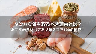 タンパク質を取るべき理由とは？おすすめ食材はアミノ酸スコア100の納豆！ [upl. by Aivlis]