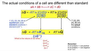 Converting Endergonic to Exergonic Reactions [upl. by Cardon549]