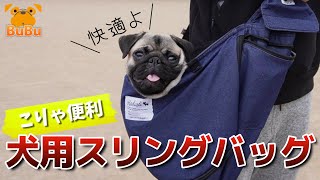 犬用スリングバッグ購入で愛犬も飼い主も快適すぎた！【パグ犬BuBu】 [upl. by Buchheim]