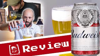 Budweiser 🇺🇸  Review [upl. by Adnohryt]