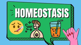 Homeostasis Examples [upl. by Gnues]