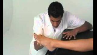 Assessing Calf Muscle Flexibility [upl. by Kcirdor270]