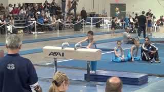 Asher Hong  2012 Valeri Liukin Invitational [upl. by Ardnauq]