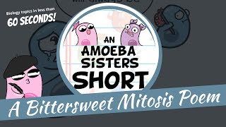 Mitosis Poem  Amoeba Sisters Shorts [upl. by Ambrosio851]