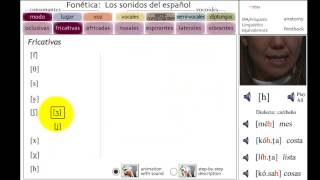 Fonética LOS SONIDOS DEL ESPAÑOL  Parte 1 [upl. by Lars]