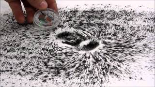 Magnetic Field Around Stack of Magnets With Iron Filings [upl. by Tali390]