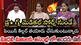 డ్రగ్స్ మెడికల్ స్టోర్స్ నుండేఅస్సలు డౌట్ కూడా రాదు  MLA Reddappagari Madhavi Speech in Assembly [upl. by Yxor642]