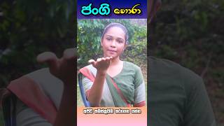 ජංගි හොරා  Jangi Hora  Laira Productions [upl. by Ahsienauq870]