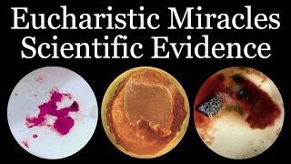 Scientific Evidence of Eucharistic Miracles  Inspired By Carlo Acutis [upl. by Vacuva]