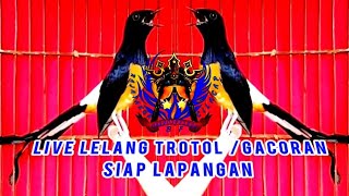 RAJA TAKSAKA CILACAP lelang murai batu prospek dan trotol [upl. by Horner]