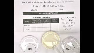 Acid Base Indicators [upl. by Ynatsed378]