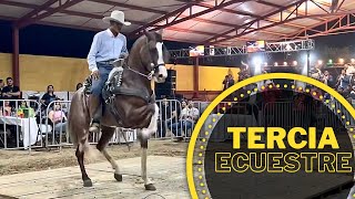 ⭐️CABALLOS BAILADORES en TERCIA ECUESTRE  SONORA [upl. by Ingrid]