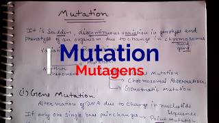 What is Mutations and mutagens Types and Detailed Explanation in Hindi neetncert easy to underst [upl. by Sula274]