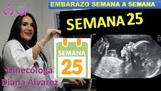 SEMANA 25 EMBARAZO SEMANA A SEMANA POR GINECOLOGA DIANA ALVAREZ [upl. by Doreg]