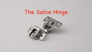 The Salice Hinge specs and features [upl. by Phelgen]