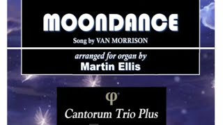 Martin Ellis Moondance Song by Van Morrison [upl. by Baer]