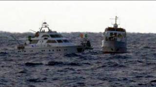 Une nouvelle flottille humanitaire vers Gaza stoppée par la marine israélienne [upl. by Annoyek545]