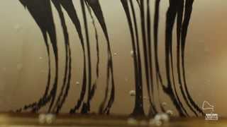 Ferrofluid  Pillar from [upl. by Ttiwed]