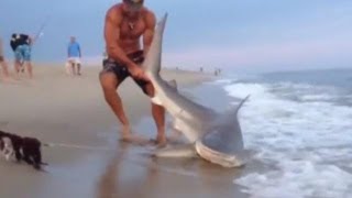 Man Wrestles Shark To Shore With Bare Hands  HPL [upl. by Nosretep]