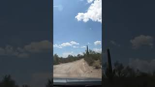 Saguaro National Park [upl. by Raclima261]