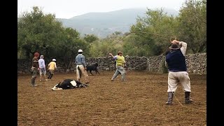 YERRA en CALAMUCHITA  2da USINA  Año 2016 [upl. by Ydwor88]