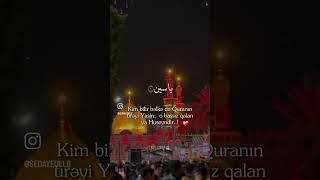 Ya Huseyn oğom sana canim gurban 💔🥀 [upl. by Elburr187]