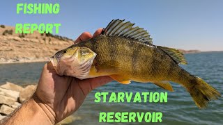 Starvation Reservoir Fishing Report [upl. by Anitsim621]