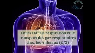 Cours O4  La respiration et le transport des gaz respiratoires chez les animaux 22 [upl. by Navonoj]