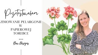 Przetestowałam zimowanie pelargonii w torebce papierowej 🌺 [upl. by Dat]