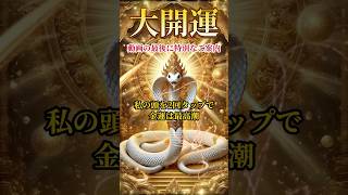 【弁財天】金運に恵まれたい方は絶対に見てください 幸運 金運 一粒万倍日 ※説明必読 pr [upl. by Eelimaj]