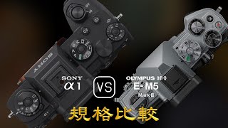 Sony A1 與 Olympus OMD EM5 Mark III 的規格比較 [upl. by Anit]