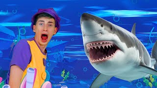 Sharks in the Water 🦈  Kids Funny Songs [upl. by Madai]