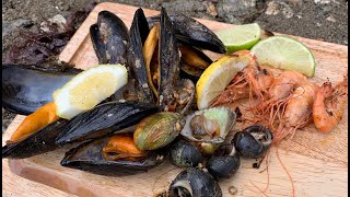 Coastal Foraging  Shellfish Beach Cook Up [upl. by Cimbura]