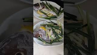 FISH READY For STEAM food recipe music [upl. by Adieno]