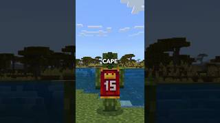 How to get MCC Cape for Minecraft Bedrock amp Java [upl. by Leumhs156]