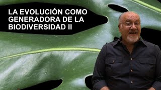 Biología La evolución como generadora de la biodiversidad II Parte [upl. by Etak452]