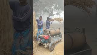 winter morning paddy thresher machine working [upl. by Artimed]