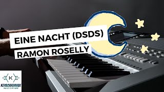 Eine Nacht DSDS  Ramon Roselly Keyboard [upl. by Sivie882]