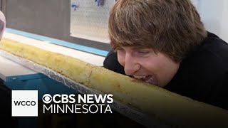 Edina teen sets new record for longest French fry [upl. by Langelo385]