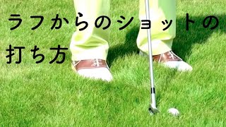 ゴルフ ラフからのショットの打ち方  今井純太郎 [upl. by Price]