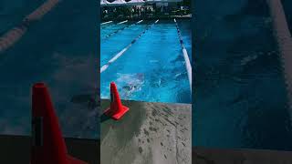 Swim edit swimmin swimmeet pool competitiveswimming [upl. by Publia20]