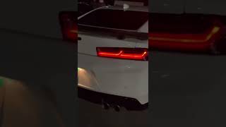 Cammed Camaro ZL1 sounding so mean 😮‍💨 cammed camaro camarozl1 musclecar v8power loudcar 2k [upl. by Fifine]