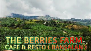 THE BERRIES FARM CAFE amp RESTO and Balutakay Mountain view  BANSALAN [upl. by Gaylord]