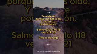 🔥Frases de Dios para FORTALECER tu FE MEDITACION de la PALABRA de DIOS  Short 699 [upl. by Anuqahs45]